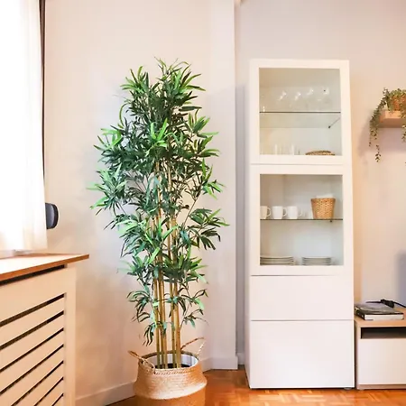 Casa Aspe Apartamento *