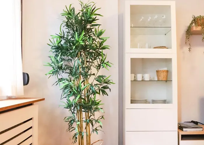 Casa Aspe Apartamento *